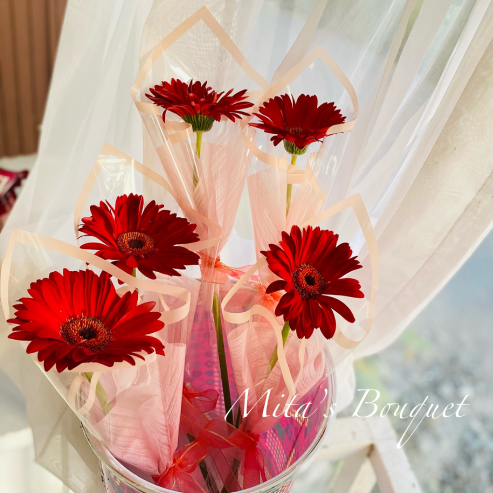 SINGLE ROSE GARBERA